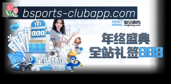 未来规划