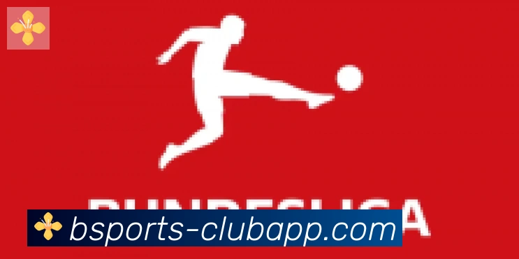 bsports体育合作伙伴
